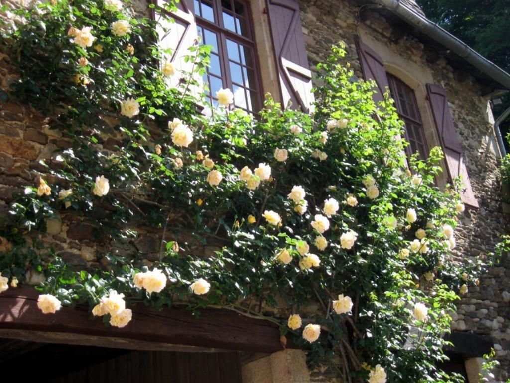 Chambres D'Hotes De Charme Le Pradel Monceaux-sur-Dordogne Exterior photo