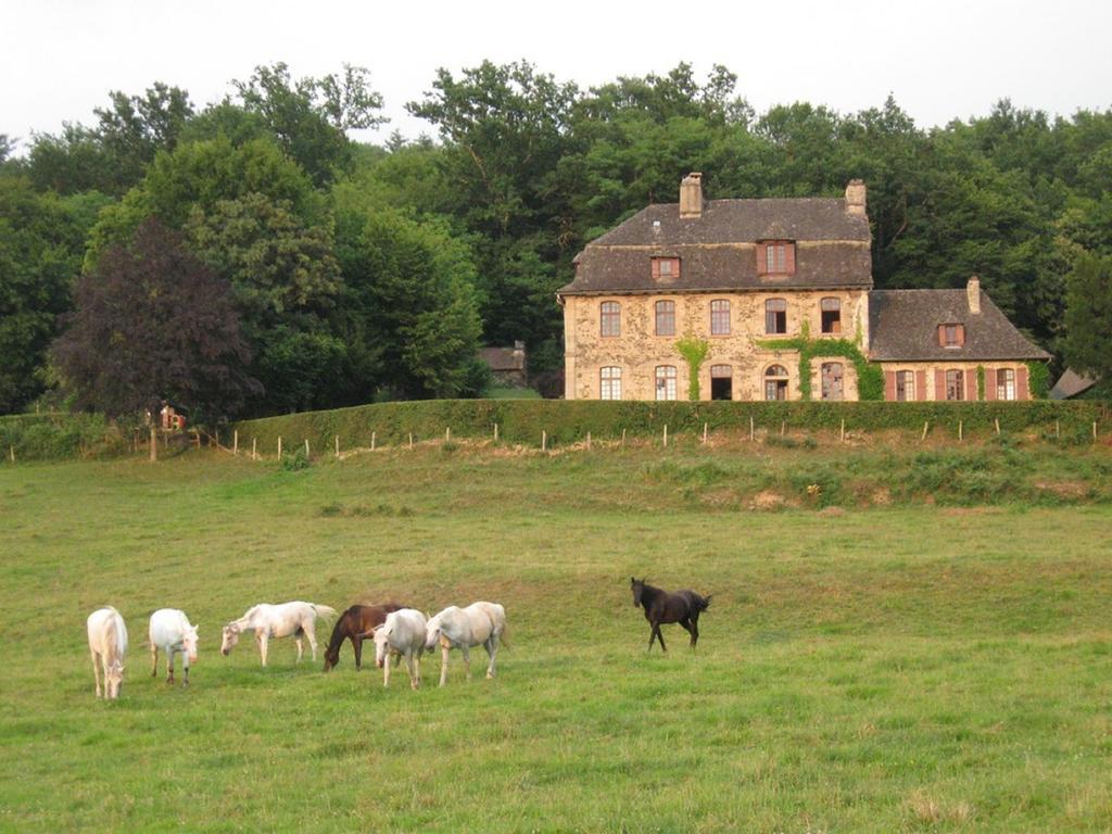 Chambres D'Hotes De Charme Le Pradel Monceaux-sur-Dordogne Exterior photo